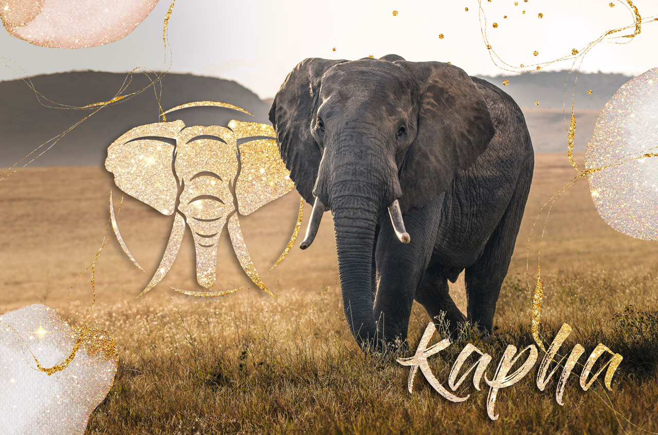 The Kapha Type