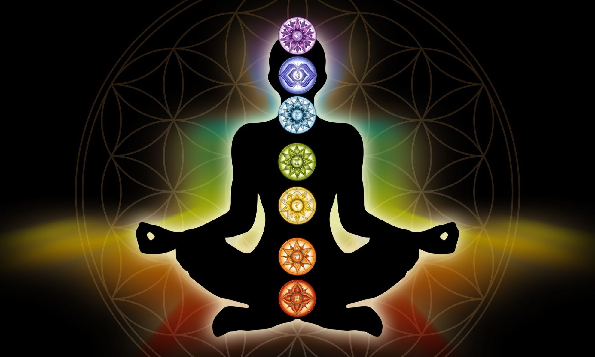 Die Chakren sind die Energiezentren unseres Körpers. Sie dienen als Verbindung zwischen dem physischen und dem feinstofflichen Körper und haben die Aufgabe, uns mit Lebensenergie zu versorgen.
