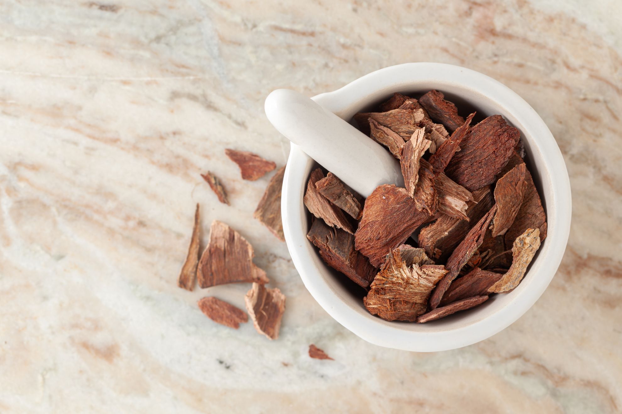 Der indische Baum wird im Ayurveda wegen seiner heilenden und kräftigenden Wirkung auf unser Lebensorgan besonders geschätzt.