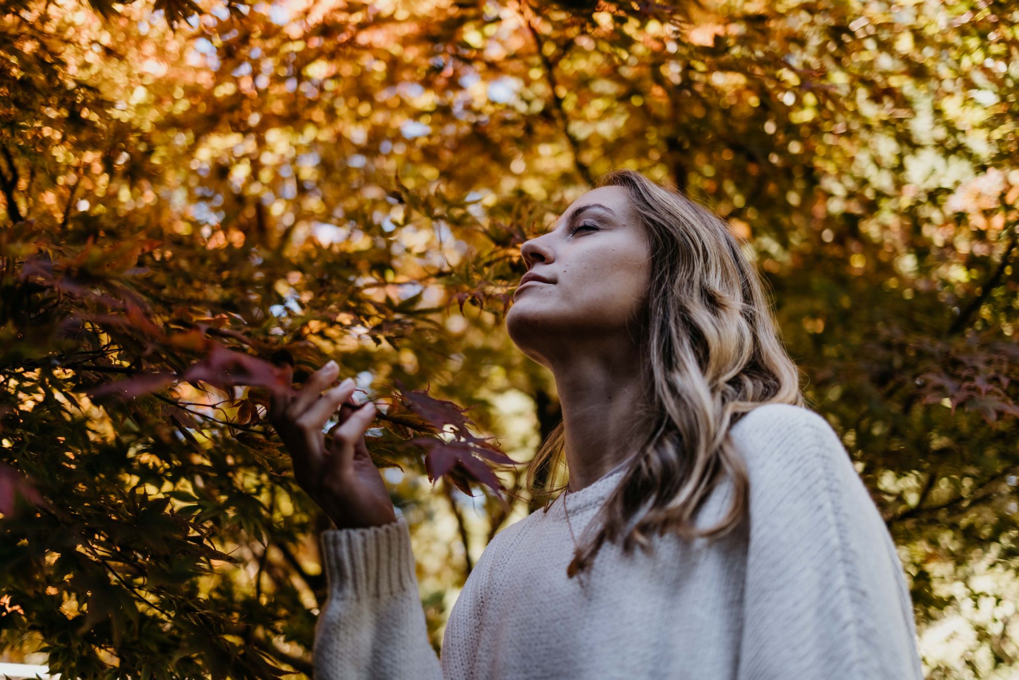 Der Herbst bringt nicht nur eine Veränderung in der Natur, sondern auch in Deinem inneren Gleichgewicht.