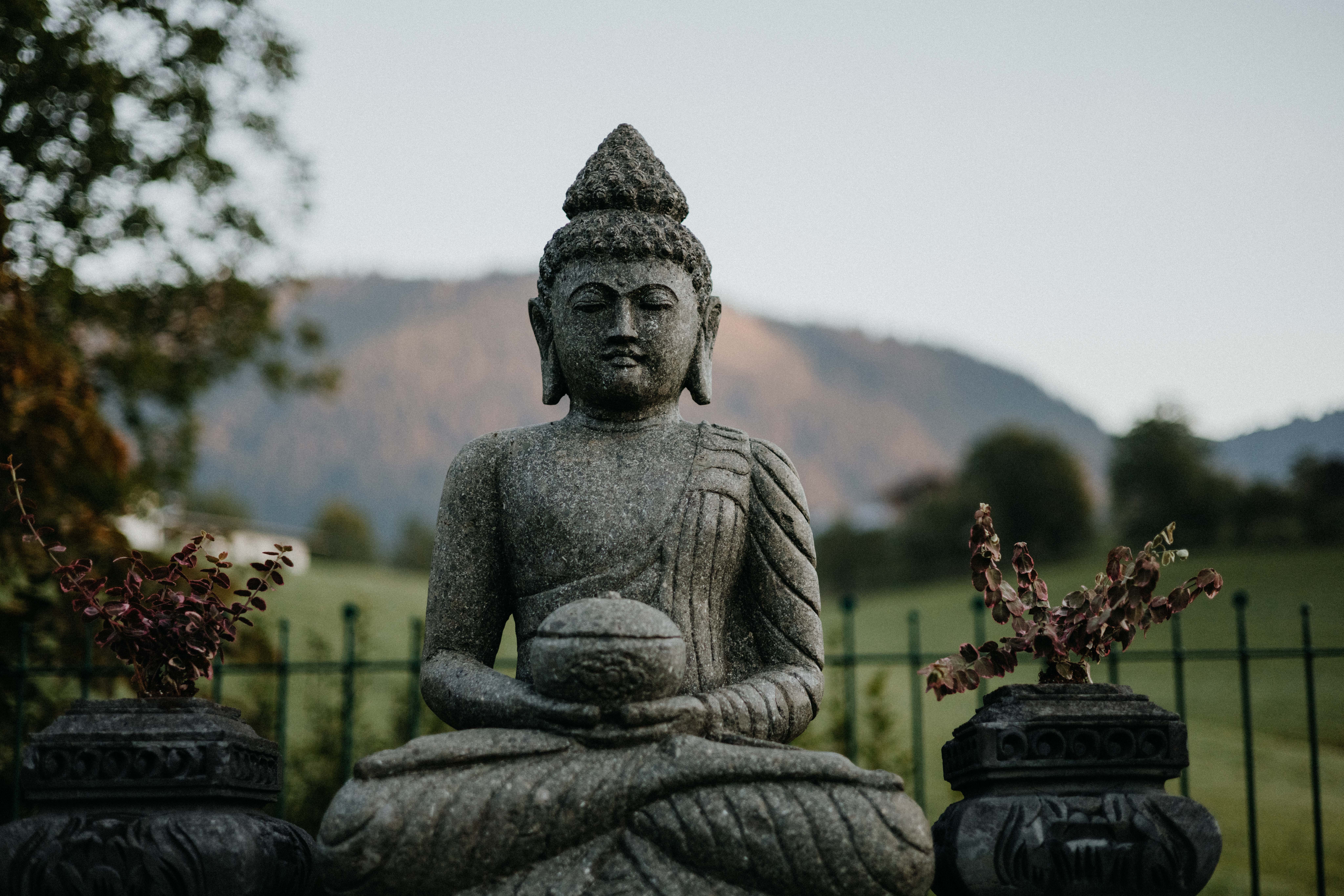 Die Bedeutung der Elemente und Doshas im Ayurveda