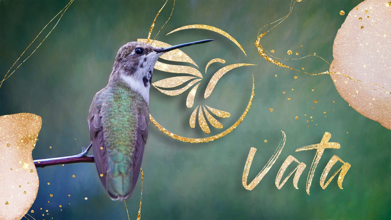 The Vata Type