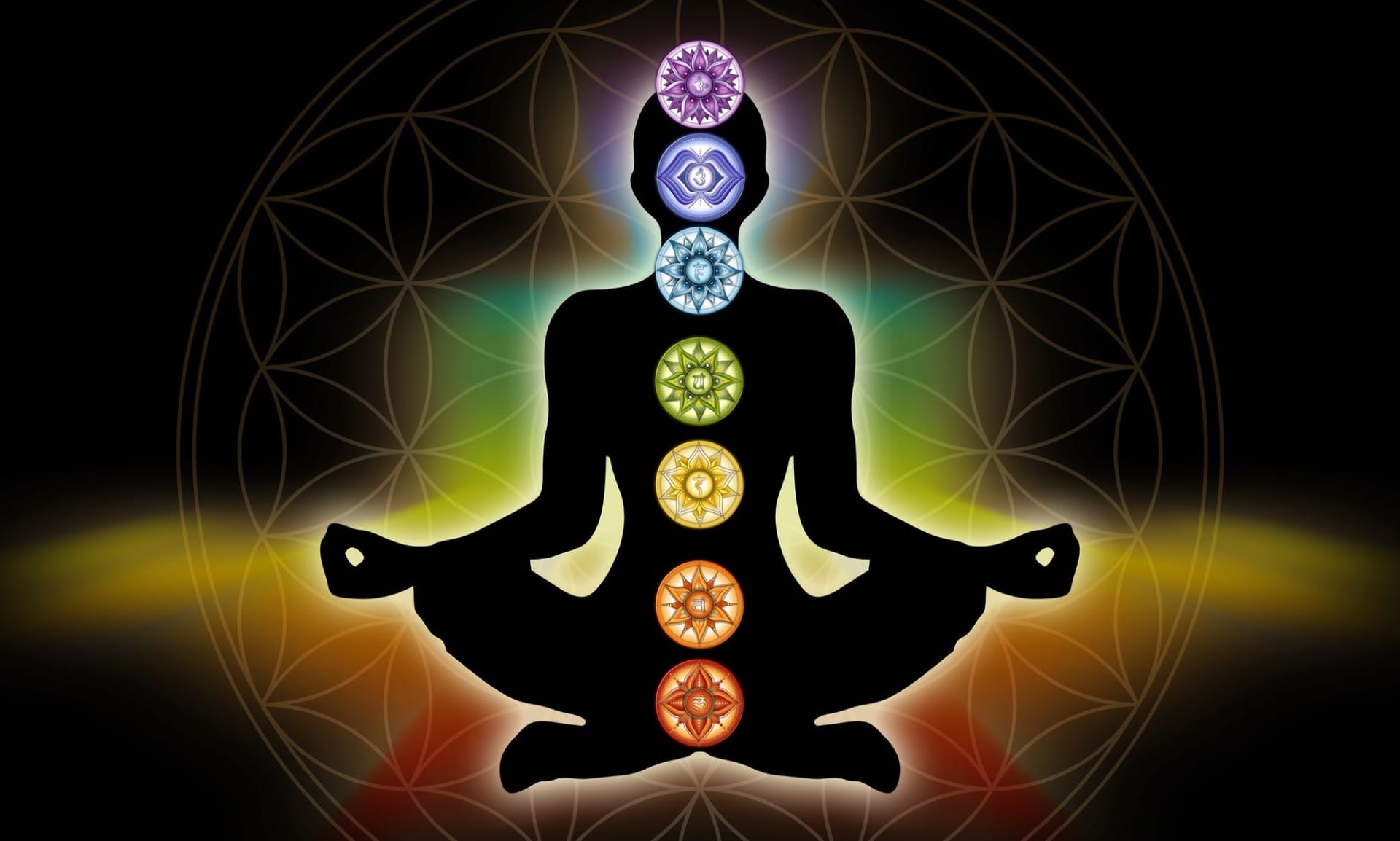 Die Chakren sind die Energiezentren unseres Körpers. Sie dienen als Verbindung zwischen dem physischen und dem feinstofflichen Körper und haben die Aufgabe, uns mit Lebensenergie zu versorgen.