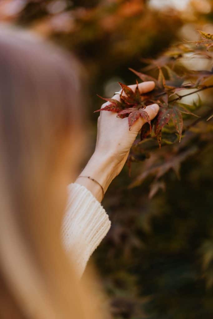 10 European Ayurveda® Tipps für mehr Leichtigkeit